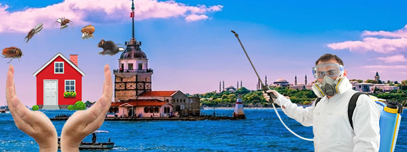 Anadolu Yakası Böcek İlaçlama