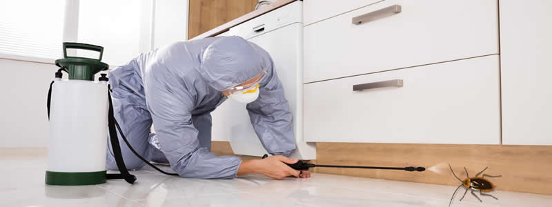 Ev İlaçlama Servisi