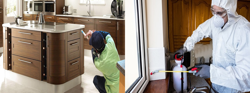 Ev İlaçlama Ve Yöntemleri