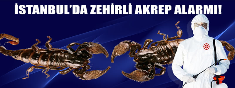 İstanbul Akrep İlaçlama