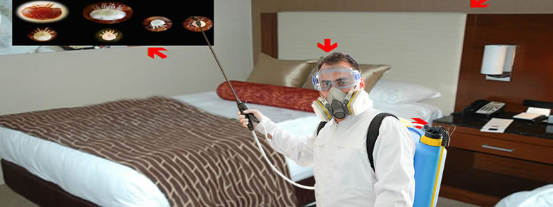 Nem Böceği İlaçlama