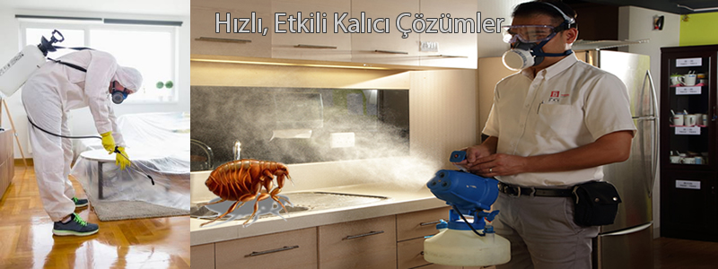 Pire İlaçlama Yöntemleri