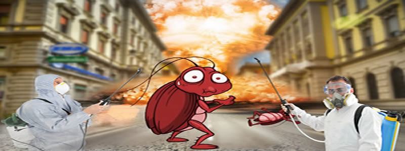 En iyi Böcek İlaçlama