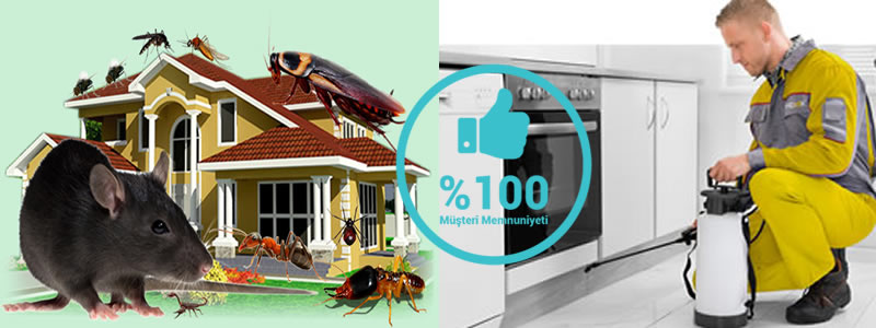 Garantili Böcek İlaçlama Servisi