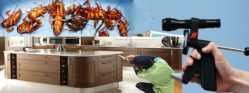 Jel İlaçlama Ve Etkisi