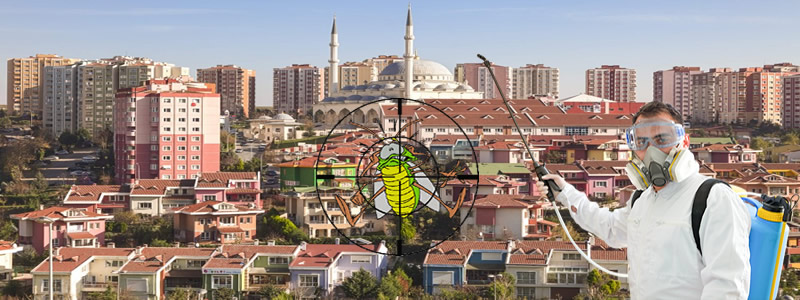 Başakşehir Böcek İlaçlama