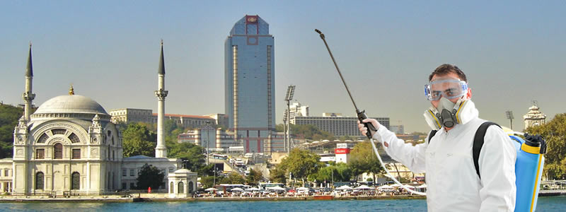 Beşiktaş İlaçlama