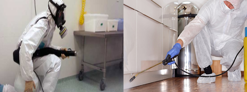 Gümüş Böceği İlaçlama Şekilleri