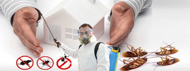 Hamam Böceği İlaçlama Şirketleri