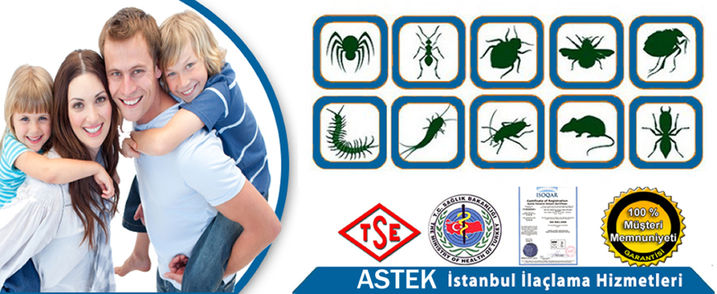 Profesyonel Ev İlaçlama