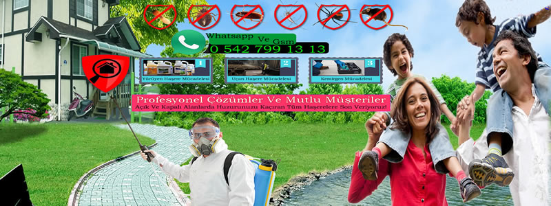 İstanbul Böcek İlaçlama Servisi