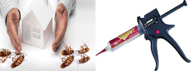 En Kalıcı Hamam Böceği İlaçlama