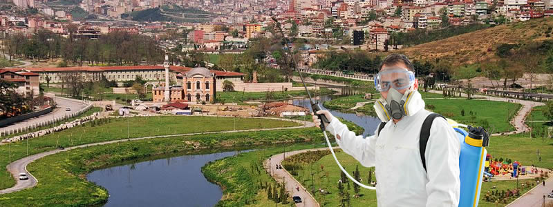 Kağıthane İlaçlama