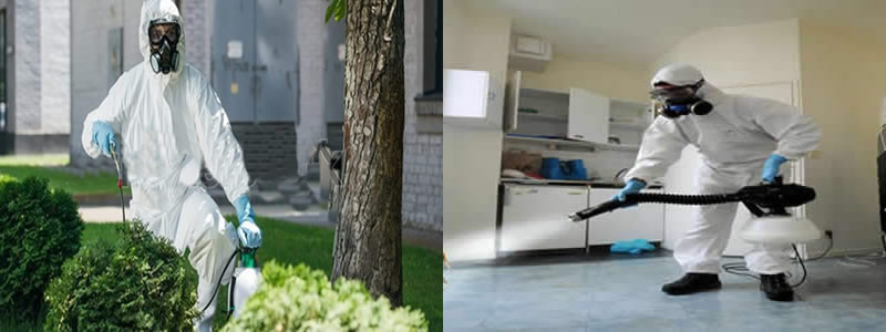 Kırkayak İlaçlama Yöntemleri