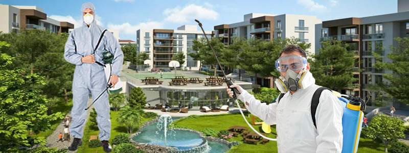Konut Ve İşletmelerde İlaçlama Nasıl Yapılır